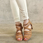 Brown / 3