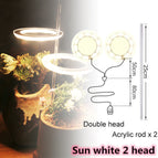2 head Sun White