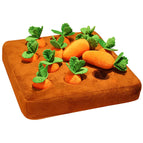 Carrot Cloth