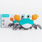 cute crab 2