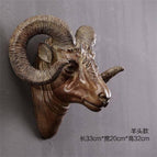 sheep head