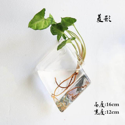 Handmade  New Hexagonal  Wall Clear Terrarium Vase