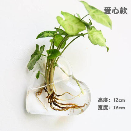 Handmade  New Hexagonal  Wall Clear Terrarium Vase