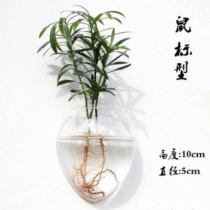 Handmade  New Hexagonal  Wall Clear Terrarium Vase