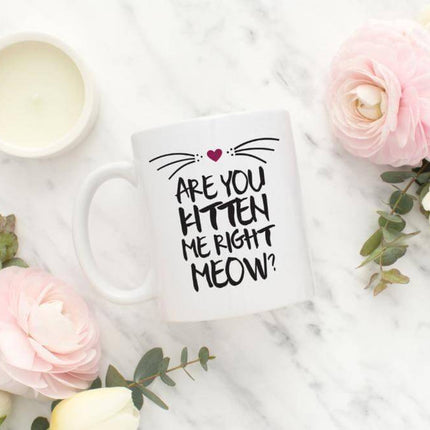 Are you kitten me right now Ceramic Mug