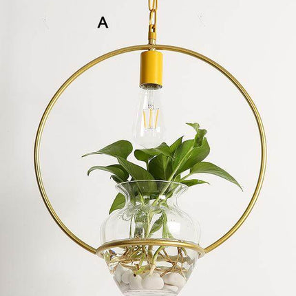 Modern Decorative Hanging Lights