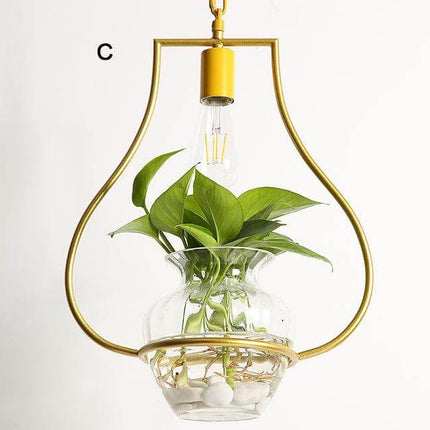 Modern Decorative Hanging Lights