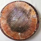 2 / 39x39x4cm