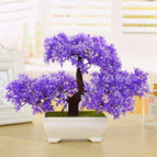Purple / M