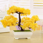 Yellow / M