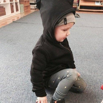 Winter Dinasour Hoodies for Kids