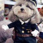 Cool  Policeman / 2