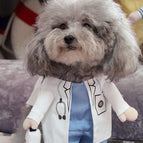 Handsome Doctor / 2