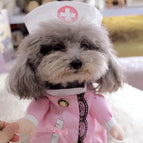 Sexy  Nurse / 2