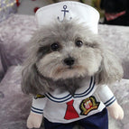 Sailor / 2