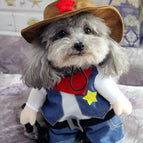 West  cowboy / 2