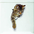 Cat 7