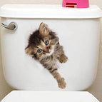 Cat 13