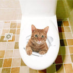 Cat 15