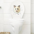 Cat 19