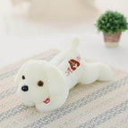 35CM / White