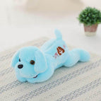 35CM / Blue