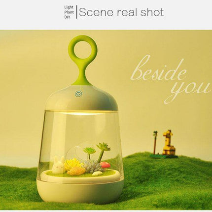 Novelty USB Charging LED Colorful Micro-landscape Plant Light