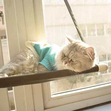 Comfortable Cat Hammock Bed