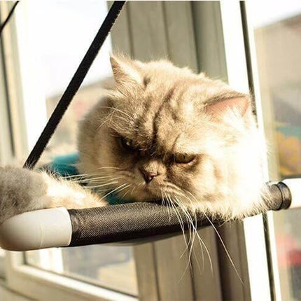 Comfortable Cat Hammock Bed