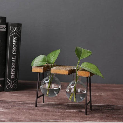 Creative Home Decoration Hydroponic With Iron Feet Plant Vase