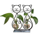 Double Cat Model