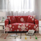 Color 17 / 2 seater