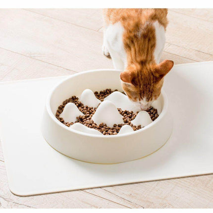 Modern Pet Slow Food Bowl