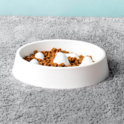Modern Pet Slow Food Bowl