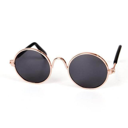 Pet Cat Little Cool Glasses