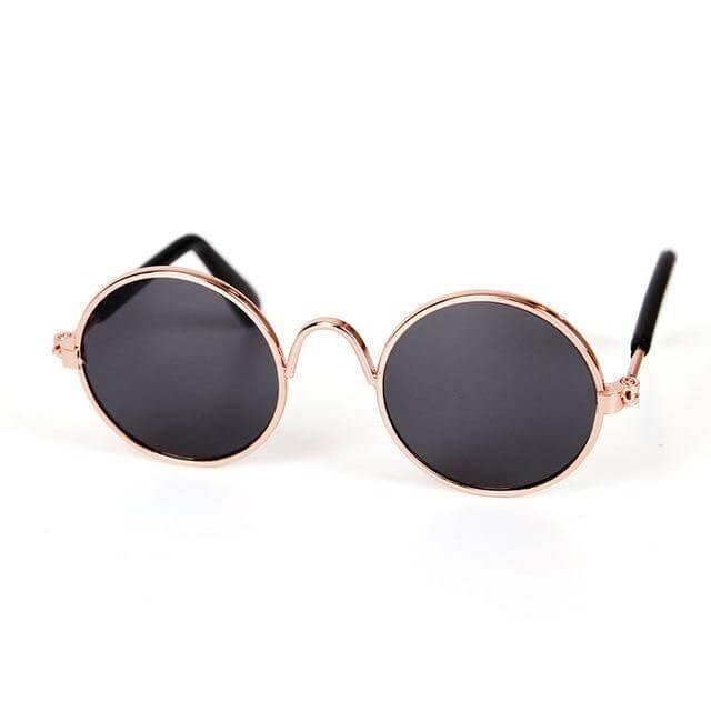 Pet Cat Little Cool Glasses