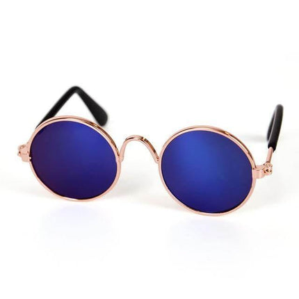 Pet Cat Little Cool Glasses