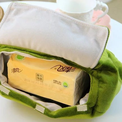 Bored Frog Tissue Box