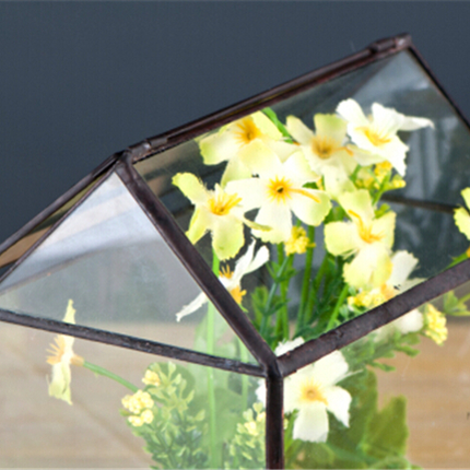 Mini Tabletop Handmade GreenHouse Terrarium
