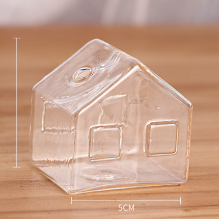 Simple Mini House Glass Flower Vase