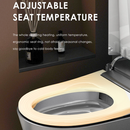 Floating Futuristic Luxury Smart Toilet